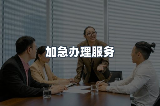 加急办理服务